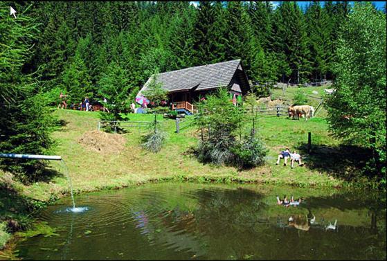 Panoramadorf Saualpe Otel Eberstein Dış mekan fotoğraf